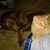 Danelle Yvonne Rydel's profile image
