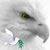 Deborah Whittle Nations's profile image