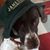 Leo Casey's profile image