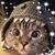 Robin Ferry's profile image