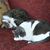 Debra Vaca's profile image