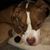 Deb Crouch-Behrendt's profile image