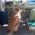 Debby Hudgins's profile image