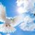 Maria Mtz's profile image