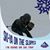 Tammy Hodgson Milledge's profile image
