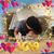 Dawn Kline Wiater's profile image