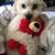Kimberly Yourist-Good's profile image