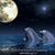 Judy Keblar's profile image