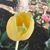 Candace Nelon Anderson's profile image