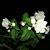 Valorie Matlack's profile image