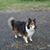 Tom Kathy Huff's profile image