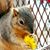Bernadette Reynal-Traylor's profile image
