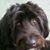 Ann Henley Shaw's profile image