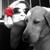 Kathryn Kriston Linski's profile image
