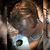Aamber Q. Miller's profile image