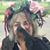 Cherrie Silverman Aifd Emc's profile image