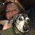 Stacie Finnin's profile image