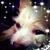Wayne Faulks's profile image