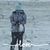 Tom-Sharon Guyette's profile image