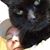 Betsy Gosnell's profile image