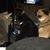 Christine Martin- Durkee's profile image