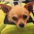 Lindsay Schlickman's profile image