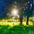 Connie Bunting's profile image