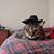 Peggy Brake's profile image