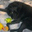 Kat Jensen's profile image