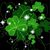 Maureen Shane's profile image