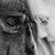 Rena Dearden's profile image
