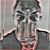 Corey Shane Stephens's profile image