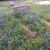 Leigh Ann Sharrock Weatherred's profile image