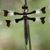 Earthe DragonLover's profile image