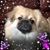 Robin Boles's profile image
