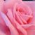 Helen's Fashion Boutique's profile image