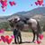 Margaret M Groshong's profile image