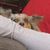 Tracy Clay Muehler's profile image