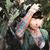 Tina Lain's profile image