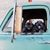 Cindy Lowery's profile image