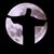 Kevin Scott Measimer's profile image