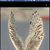 Margaret Elizabeth Vander Veer's profile image