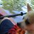 Kerry Gray's profile image