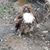Gail Harrie's profile image