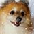 Mary King's profile image