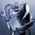Joy L Janelle's profile image