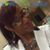 Ginnea Morton's profile image
