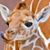 Alison Cutts's profile image