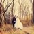 Kimberly Silberstein's profile image