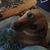 Julie Wieliczkiewicz Kahler's profile image